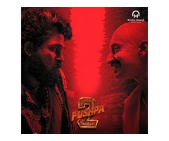 Radio Haanji: Your Ultimate Destination for Punjabi Entertainment in Australia