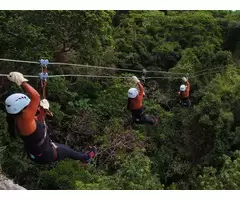 Zipline Tours for Everyone: Family-Friendly Adventures