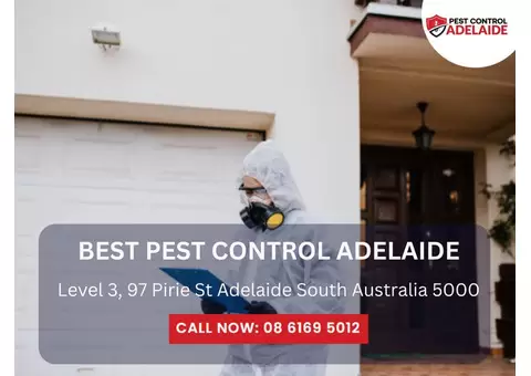 Professional Building Pest Inspections in Adelaide