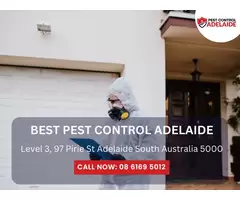 Professional Building Pest Inspections in Adelaide