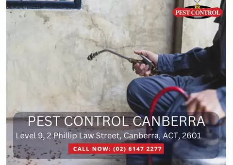 Reliable Residential Pest Management in Canberra