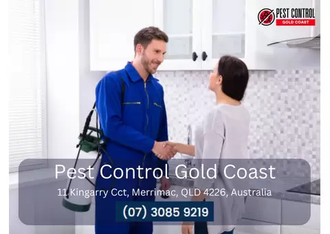 Professional Pest Inspection on the Gold Coast