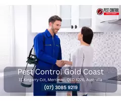 Professional Pest Inspection on the Gold Coast