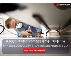 Professional Pest Exterminators in Perth