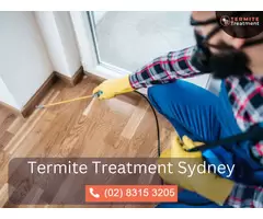 Effective White Ant Treatment in Sydney