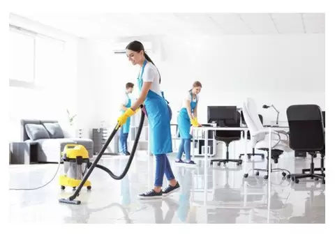 Reliable Commercial Pest Control and Cleaning Services in Brisbane & Gold Coast