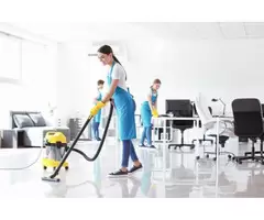 Reliable Commercial Pest Control and Cleaning Services in Brisbane & Gold Coast