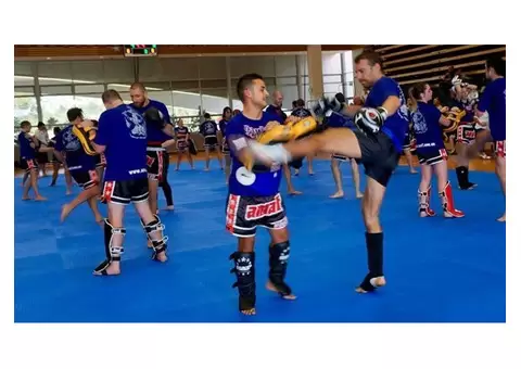 Experience the Best Karate Classes and Muay Thai Trainin with AMAF Australia
