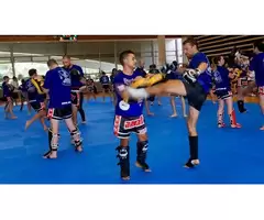 Experience the Best Karate Classes and Muay Thai Trainin with AMAF Australia