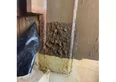 Asbestos Removal Sydney | Asbestos Removal | Integrated Environmental