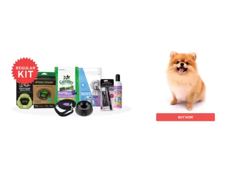 Puppy Starter Pack - Regular