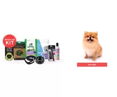 Puppy Starter Pack - Regular