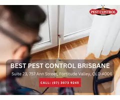 Trusted Bed Bug Removal Services in Brisbane