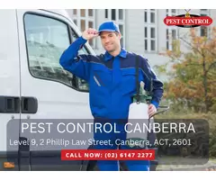 Reliable Commercial Pest Removal Services in Canberra