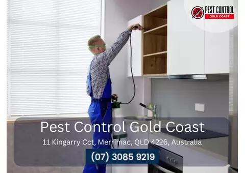 Reliable Commercial Pest Control Services on the Gold Coast