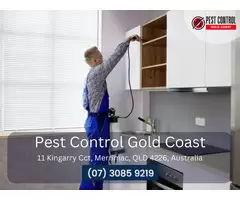 Reliable Commercial Pest Control Services on the Gold Coast