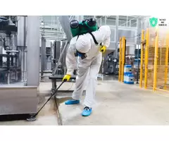 Reliable Termite Treatment Services – Protect Your Property on the Gold Coast