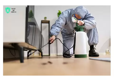 Termite Inspection Brisbane – Protect Your Property Today!