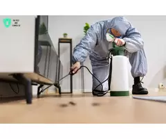 Termite Inspection Brisbane – Protect Your Property Today!