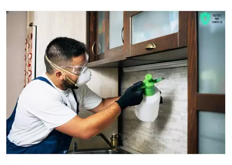 Termite Barrier Solutions – Protect Your Property on the Gold Coast