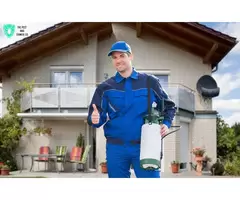 Expert Termite Inspection Services – Protect Your Property on the Gold Coast