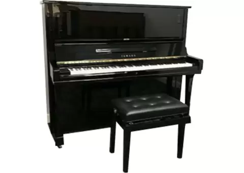 Exceptional Piano Lessons in Melbourne Tailored for Every Learner