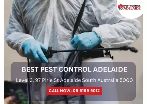 Reliable White Ant Treatment Services in Adelaide