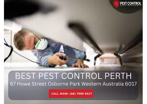 Expert Pest Extermination Services in Perth
