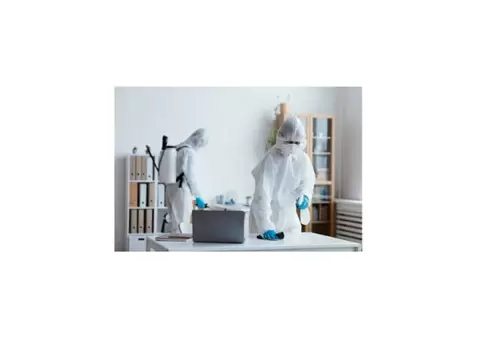 Mould Experts Gold Coast - 2/3