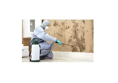 Mould Experts Gold Coast - 3/3
