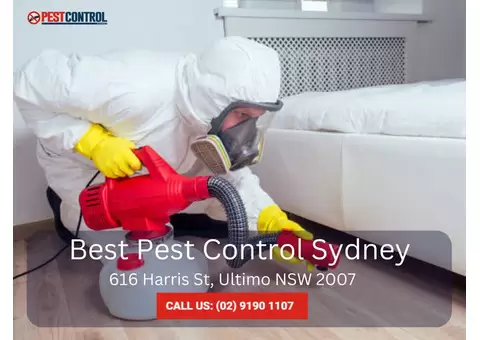 Trusted Termite Exterminators in Sydney