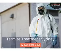 Detailed Termite Assessment Services