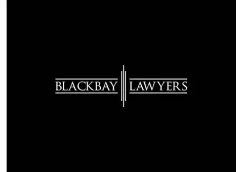 Understanding the Role of a Litigation Lawyer: What to Expect