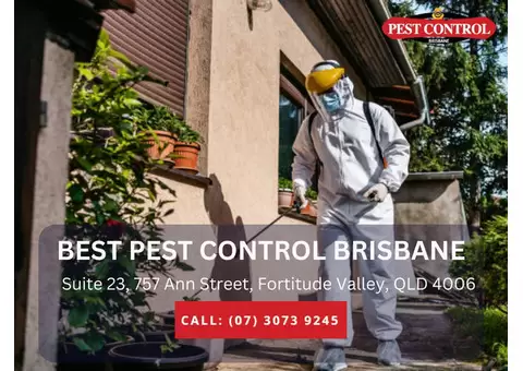 Reliable Pest Control Services in Redcliffe | Safe & Effective