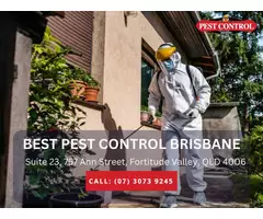 Reliable Pest Control Services in Redcliffe | Safe & Effective