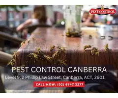 Professional Pest Inspections Near You | Reliable & Efficient