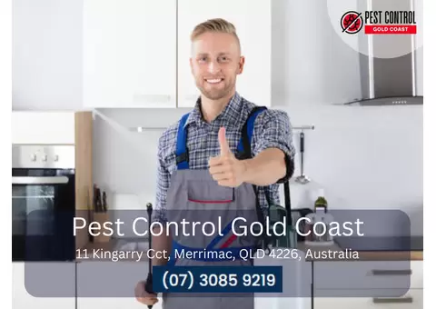 Reliable Building Pest Inspections on the Gold Coast