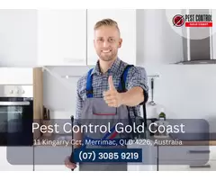 Reliable Building Pest Inspections on the Gold Coast