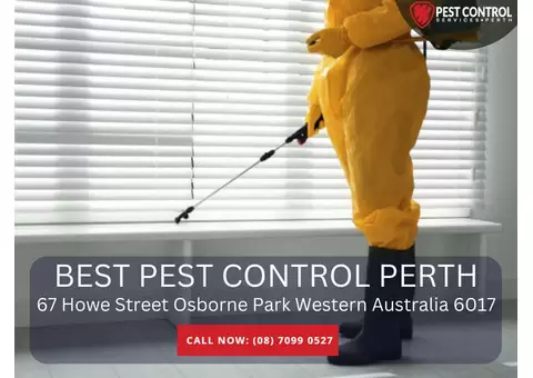 Expert Pest Exterminators in Perth