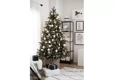 Christmas Trees - 3/10