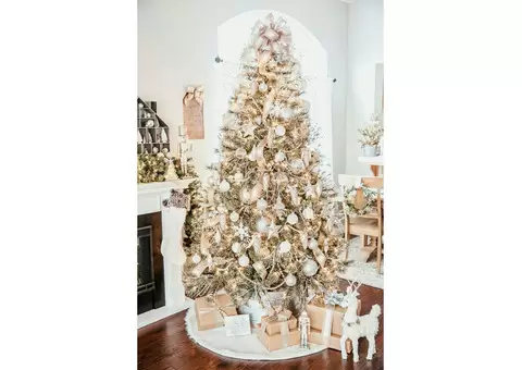 Christmas Trees - 7/10