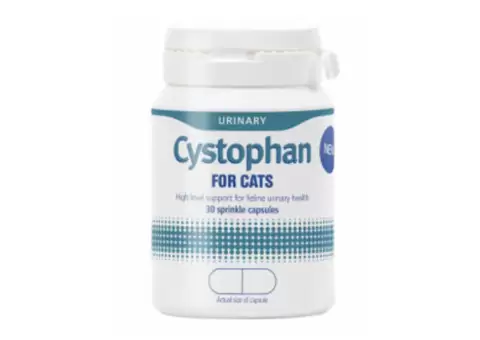 Cystophan Urinary Capsules For Cats - VetSupply