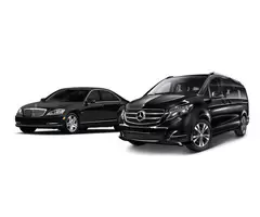 Professional Private Taxi