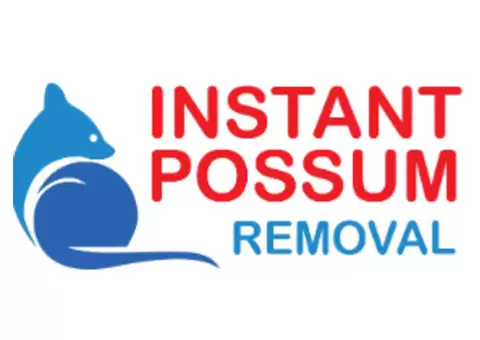 Possum Removal Elwood | Instant Possum Removal