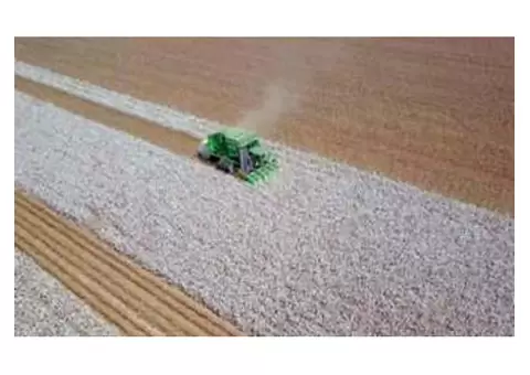 Exciting Agronomy Jobs Waiting for You in Western Australia and New South Wales