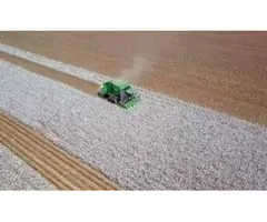Exciting Agronomy Jobs Waiting for You in Western Australia and New South Wales