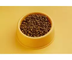 What Are the Key Nutritional Benefits of Black Hawk Grain Free Kangaroo?