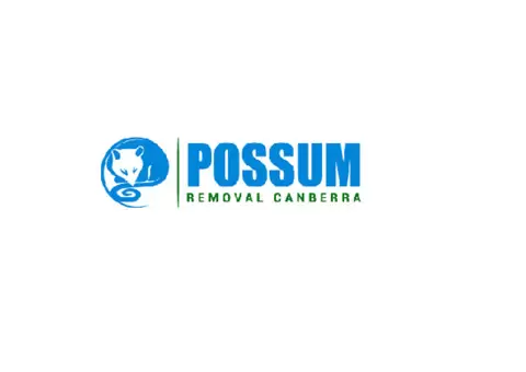 Possum Removal Canberra