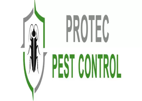 Professional Pest Control Services in Adelaide