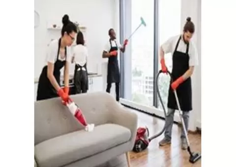 How to Prepare for Spring Cleaning? - Alligator Cleaning